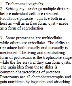 Post Lab - The Protozoa